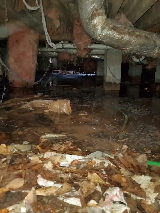 Crawl space flood assessment for Commercial Water Damage Restoration in Russellville
